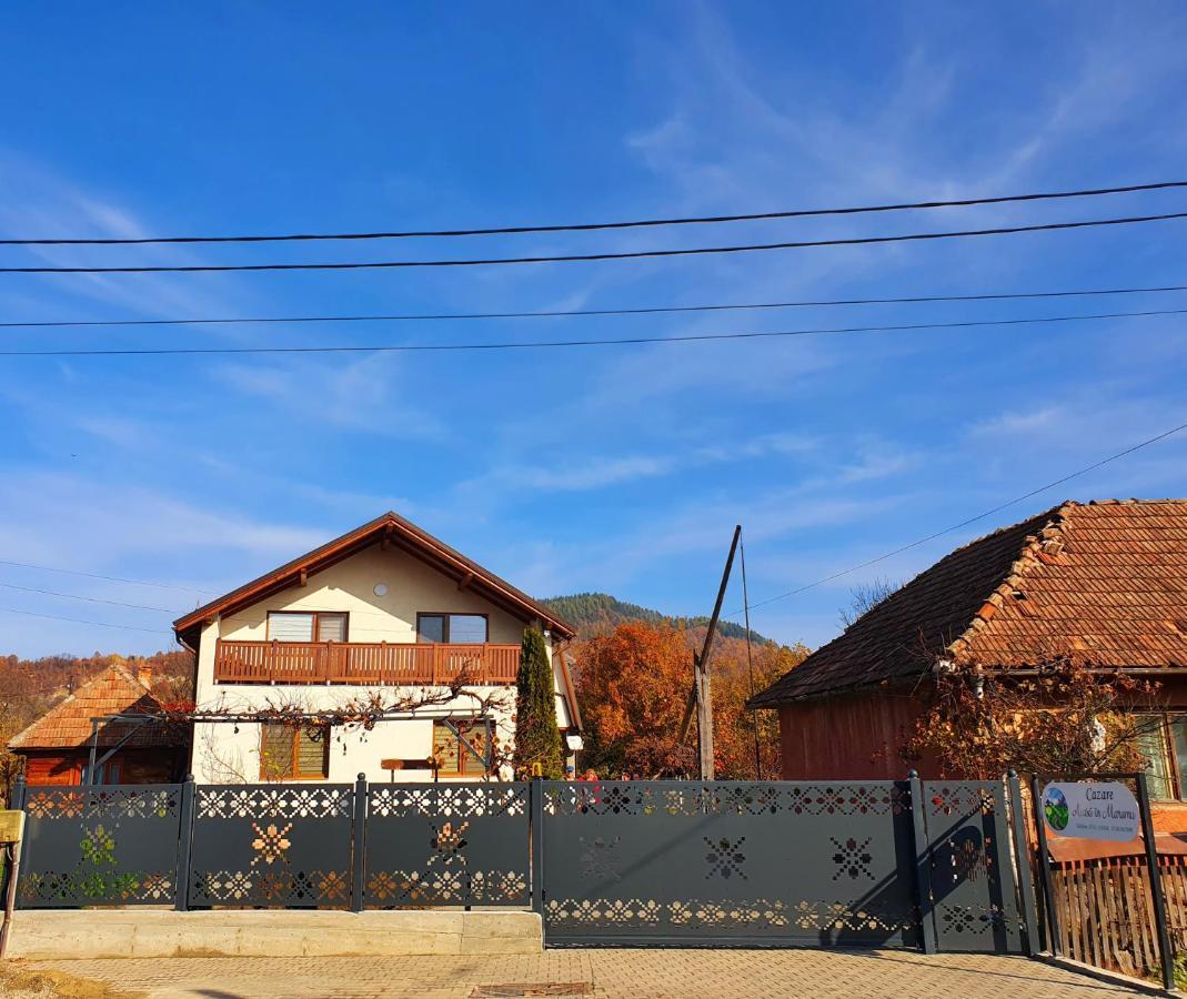 فندق Domeniul Acasa In Vadu Izei Maramu المظهر الخارجي الصورة